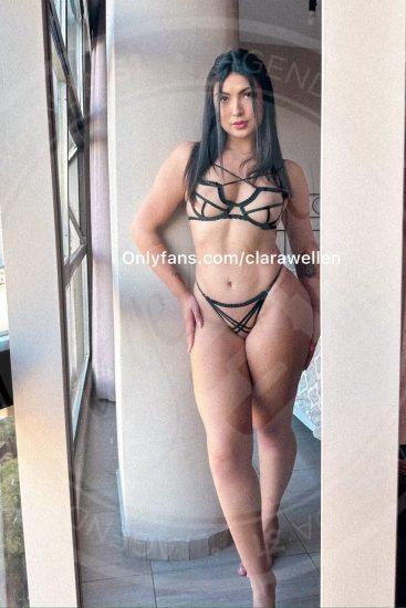 Acompanhante Clara Wellen